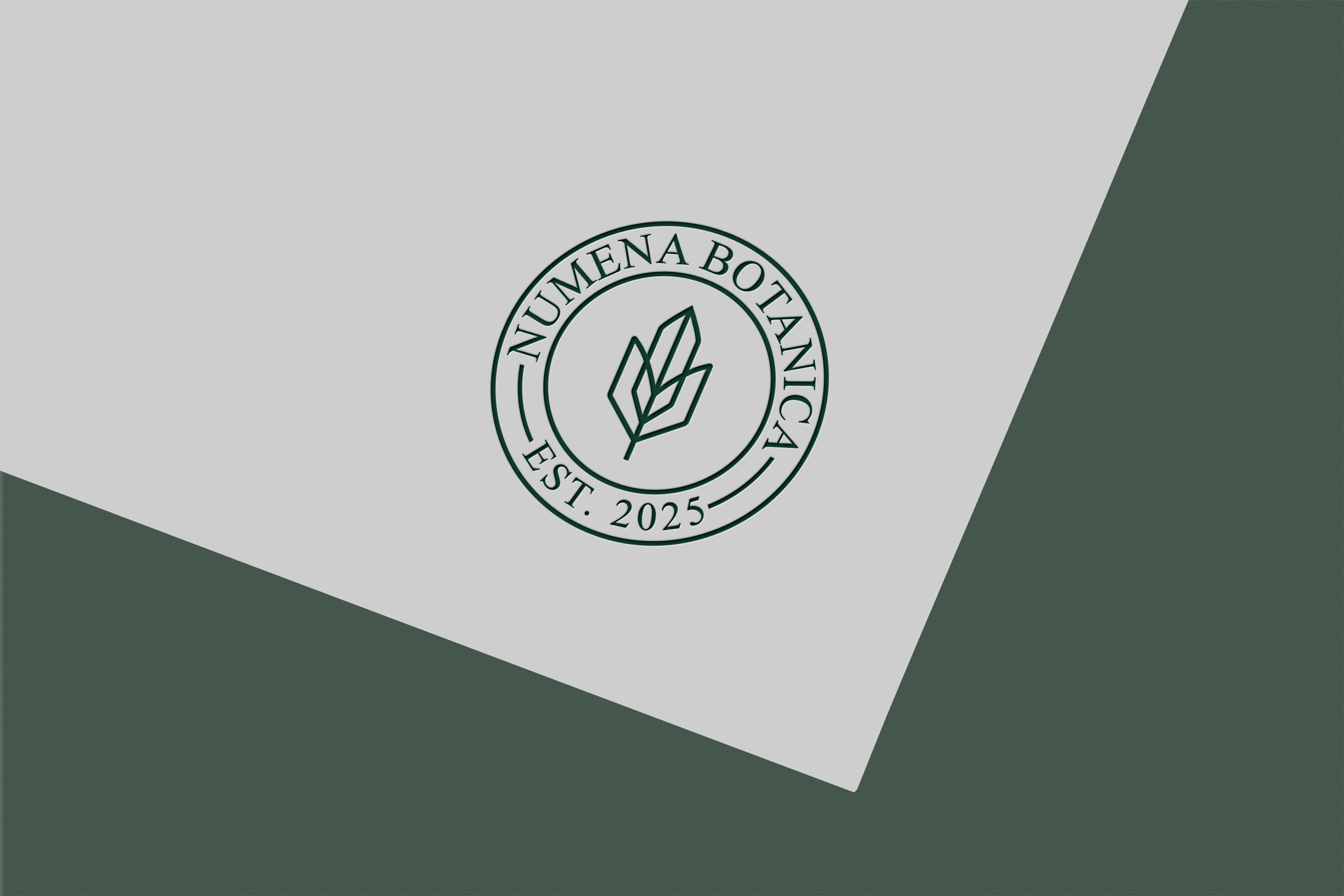 Logo Design by Jubaidur Creative Designer for this project | Design #37039434