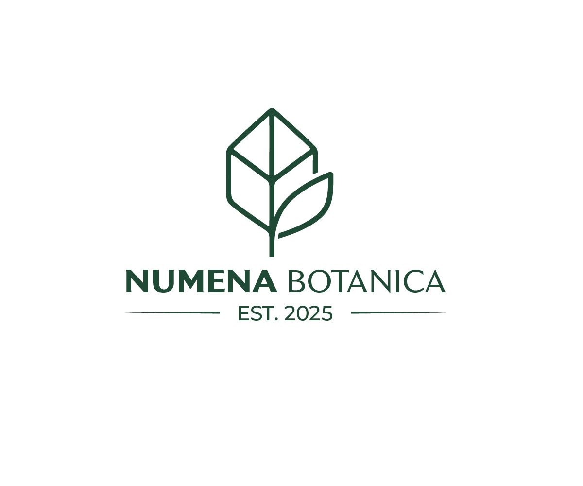 Design de Logo par Mala Begum pour ce projet | Design #37041271