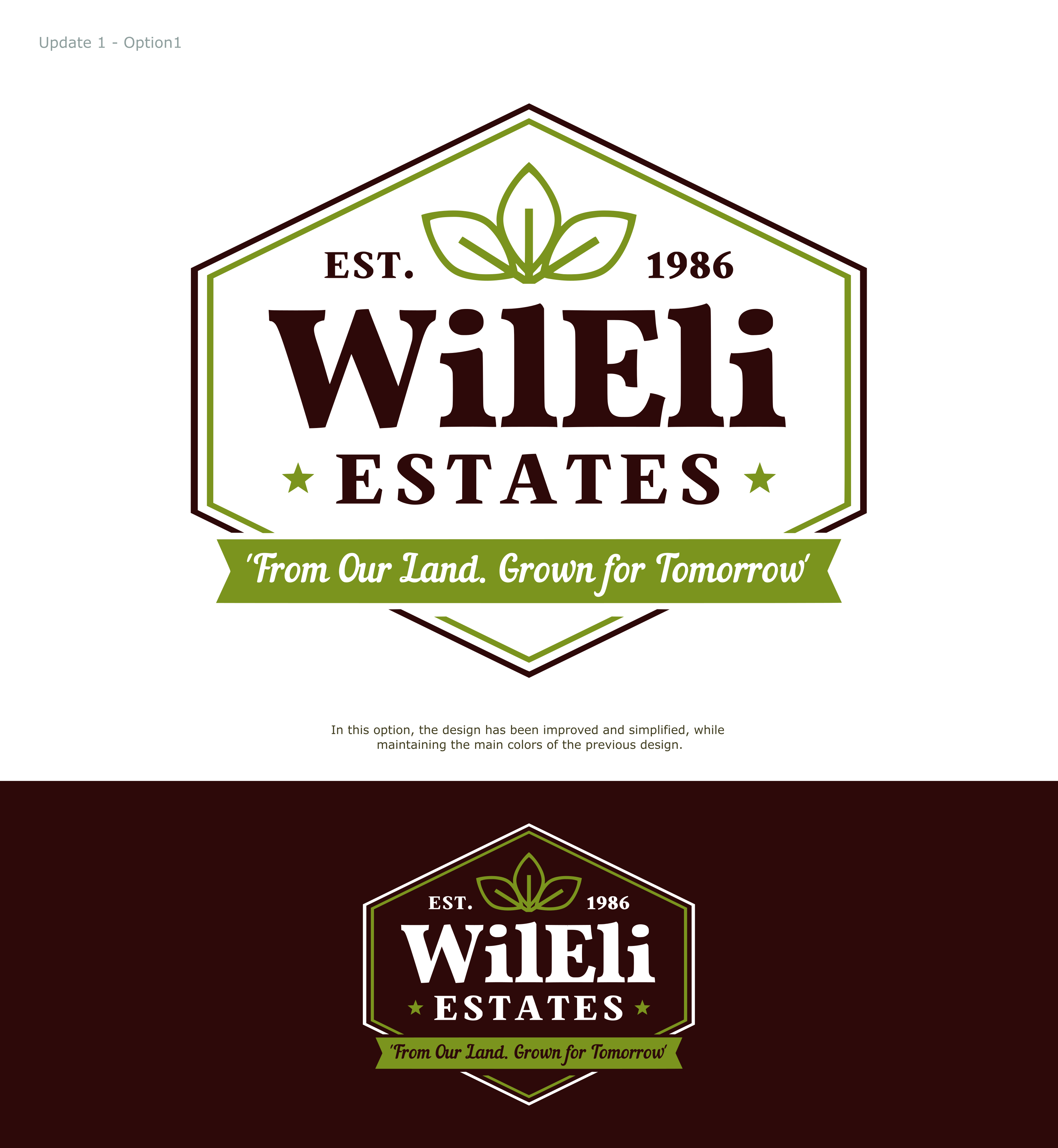 Diseño de Logo por Sistemais para este proyecto | Diseño #37062589