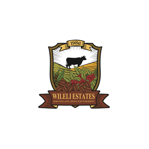 Design de Logo par bethmage janaka pour ce projet | Design #37043704