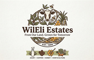 Diseño de Logo por NovaCriação para este proyecto | Diseño: #37041599