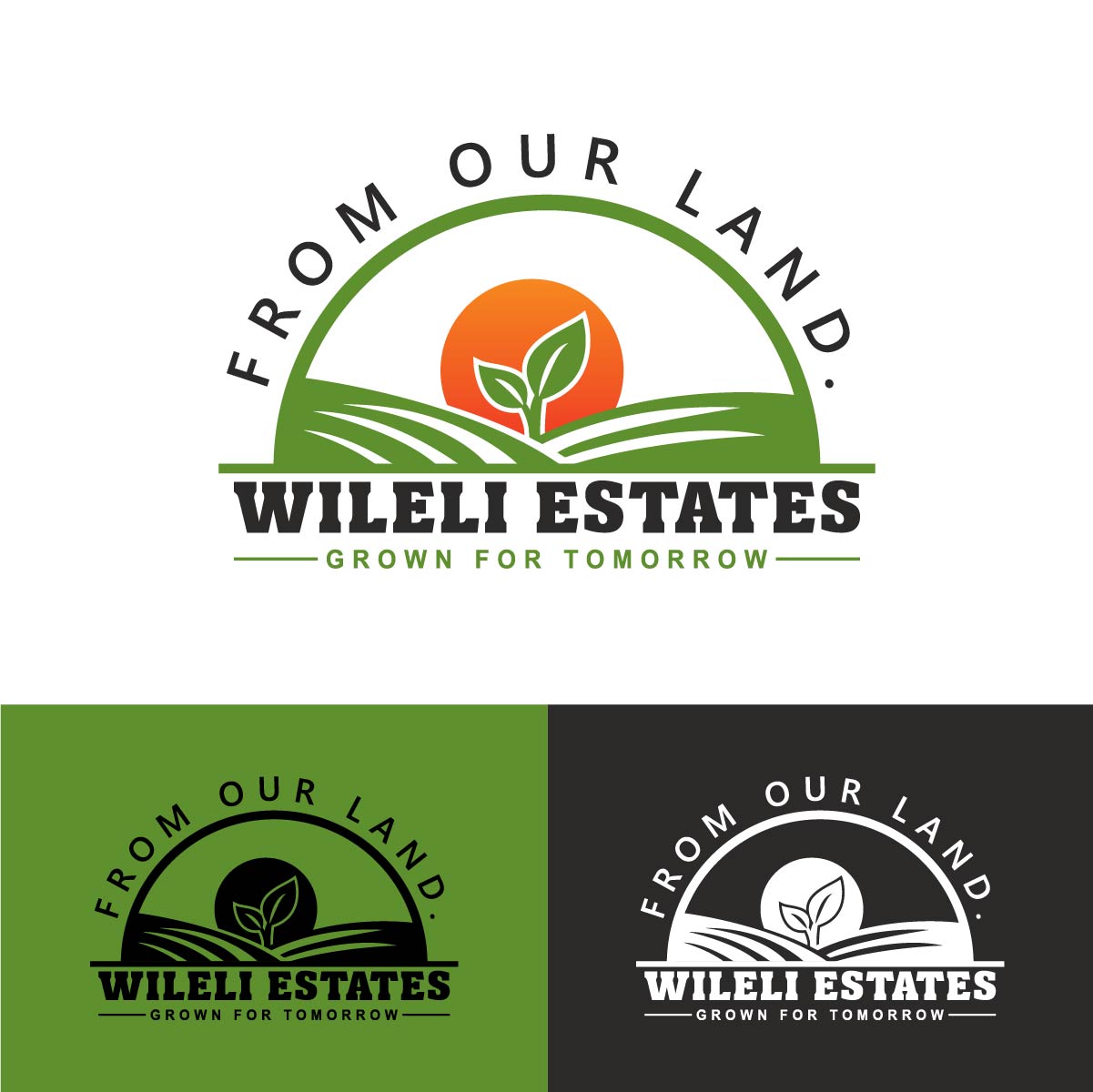 Diseño de Logo por DesignLima para este proyecto | Diseño #37042764