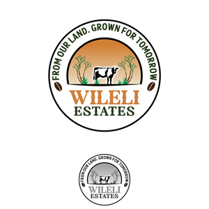 Diseño de Logo por DesignLima para este proyecto | Diseño: #37042765