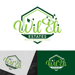 Diseño de Logo por DesignLima para este proyecto | Diseño: #37043314