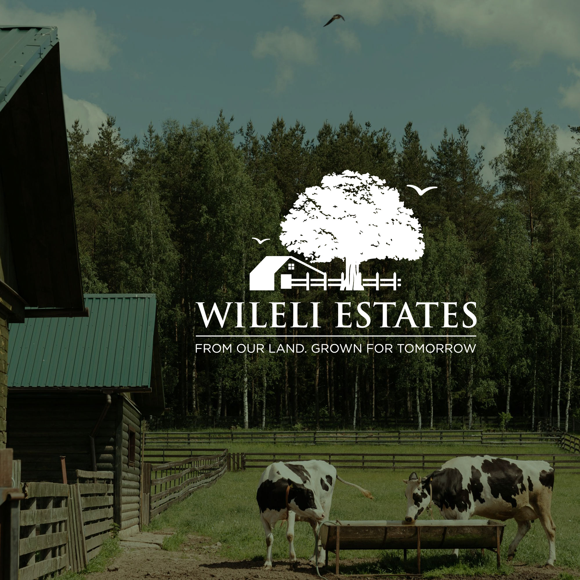 Diseño de Logo por kaushal 05 para este proyecto | Diseño #37043162