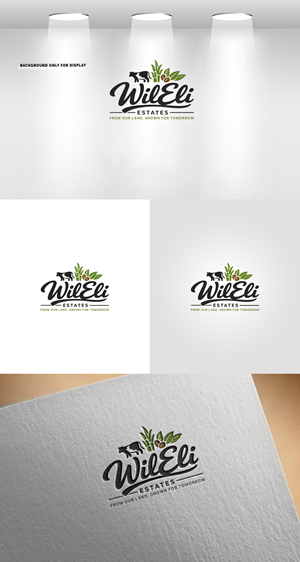 Diseño de Logo por Soonia para este proyecto | Diseño: #37041675