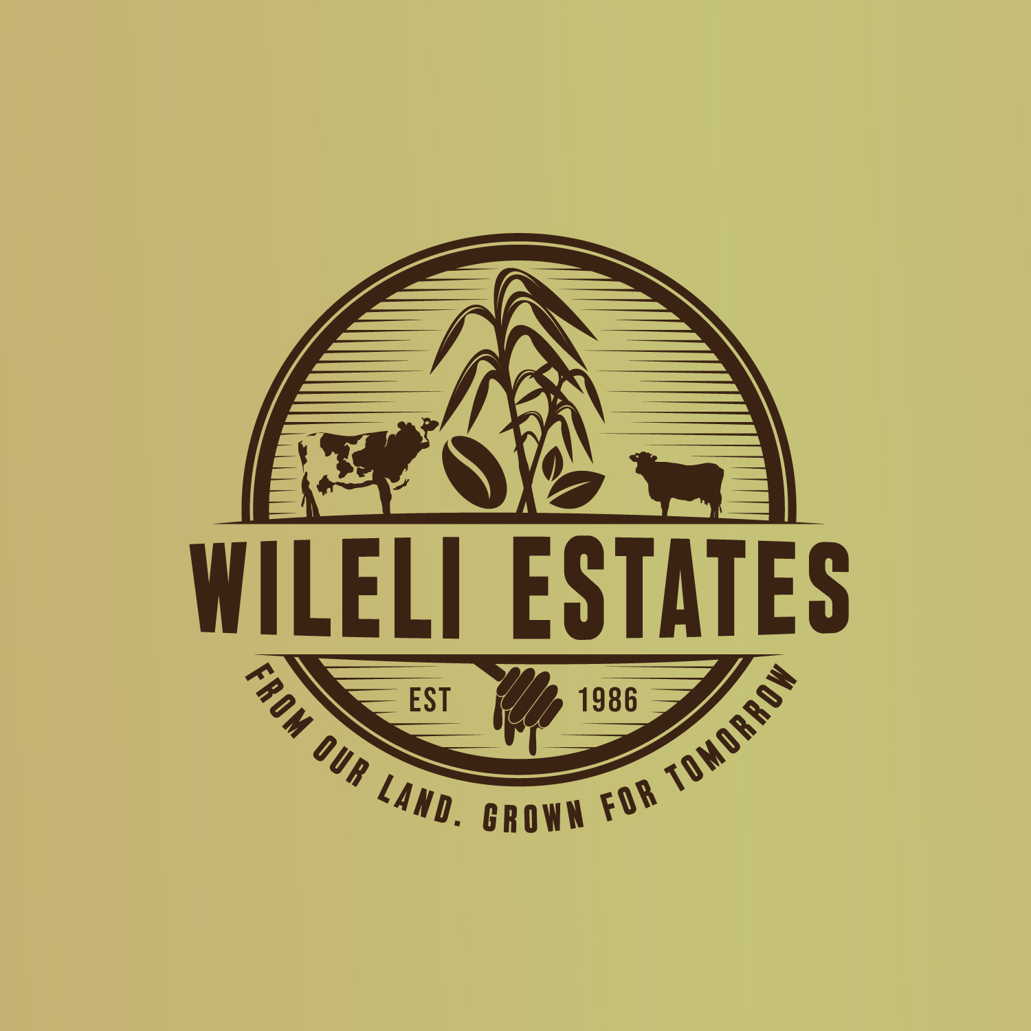 Diseño de Logo por geni para este proyecto | Diseño #37042522