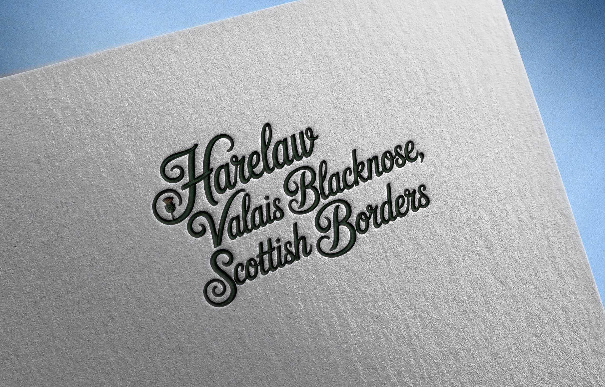 Logo Design by PD_Designs for this project | Design #37050421