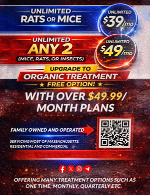 Flyer Design by pb for this project | Design: #37056282