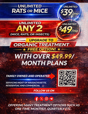 Flyer Design by pb for this project | Design: #37060914