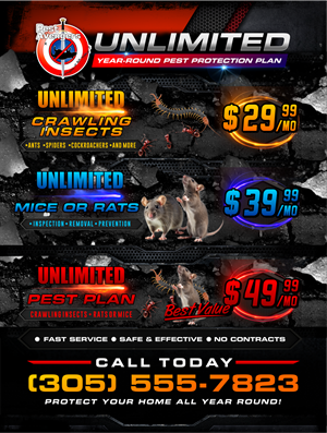 Flyer Design by ThiagoB for this project | Design: #37053001