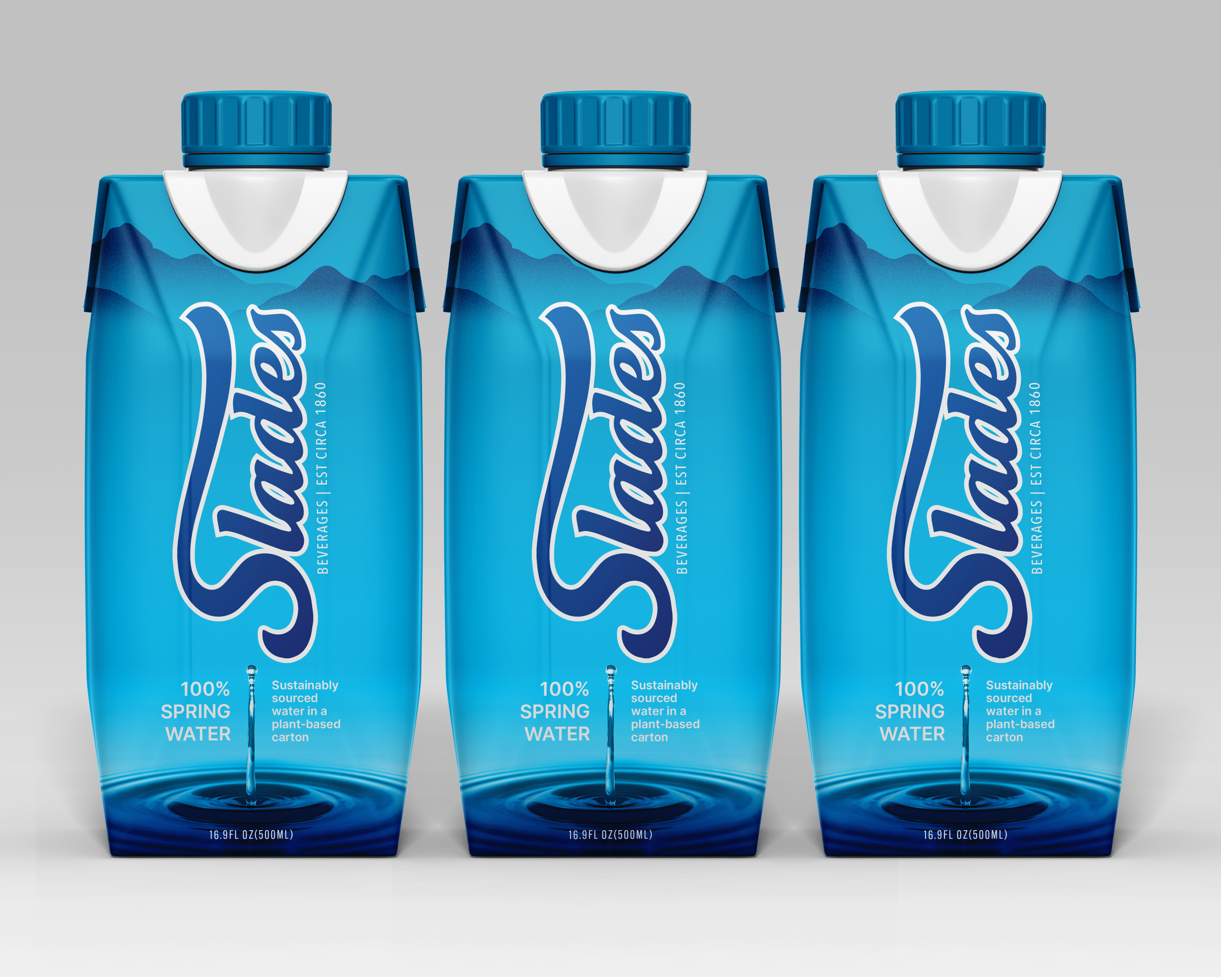 Packaging Design by SAI DESIGNS for this project | Design #37065611