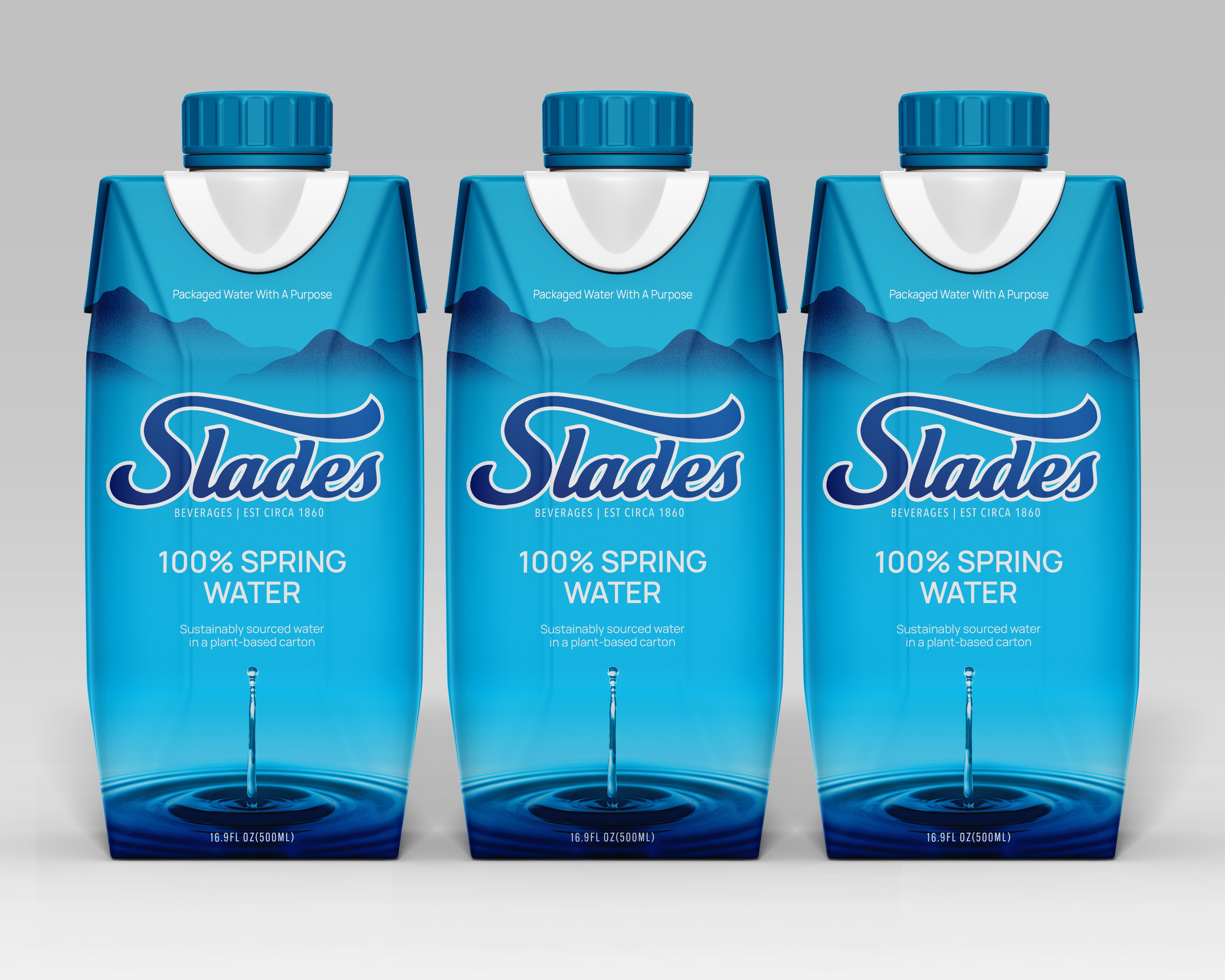 Packaging Design by SAI DESIGNS for this project | Design #37067333