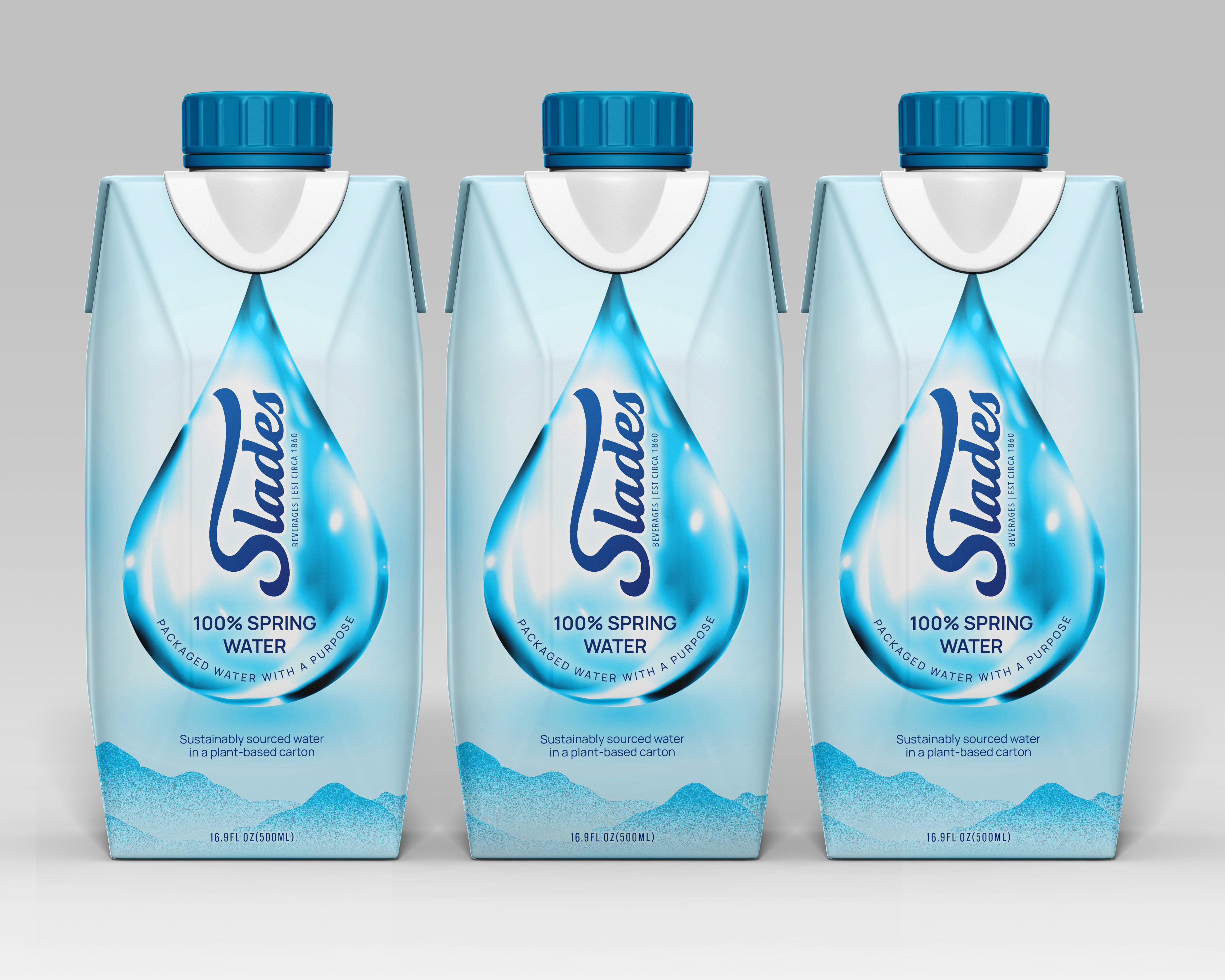 Packaging Design by SAI DESIGNS for this project | Design #37067344