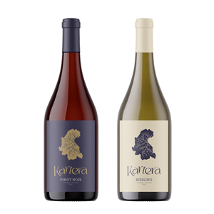 Graphic Design by Ozlem Ozturkoglu for this project | Design: #37074057