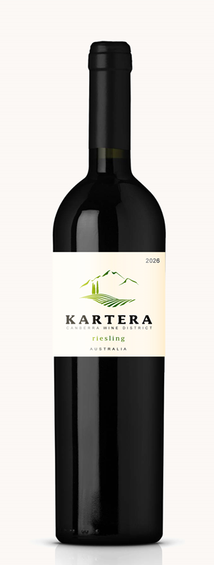 Graphic Design by Milos Jovic for this project | Design: #37068081