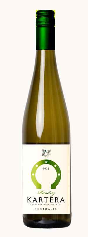 Graphic Design by Milos Jovic for this project | Design: #37111755