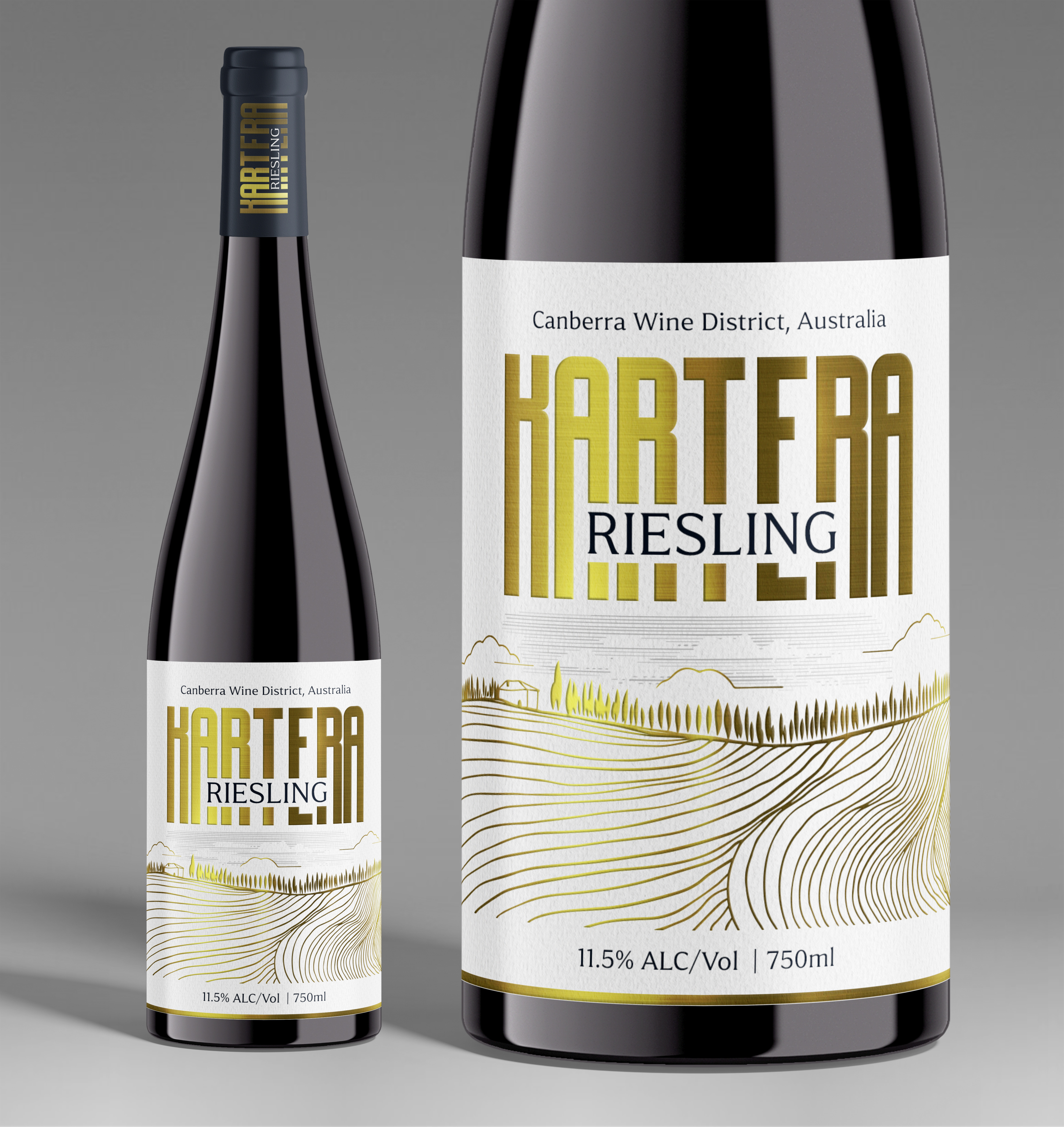 Graphic Design by SAI DESIGNS for this project | Design #37082543