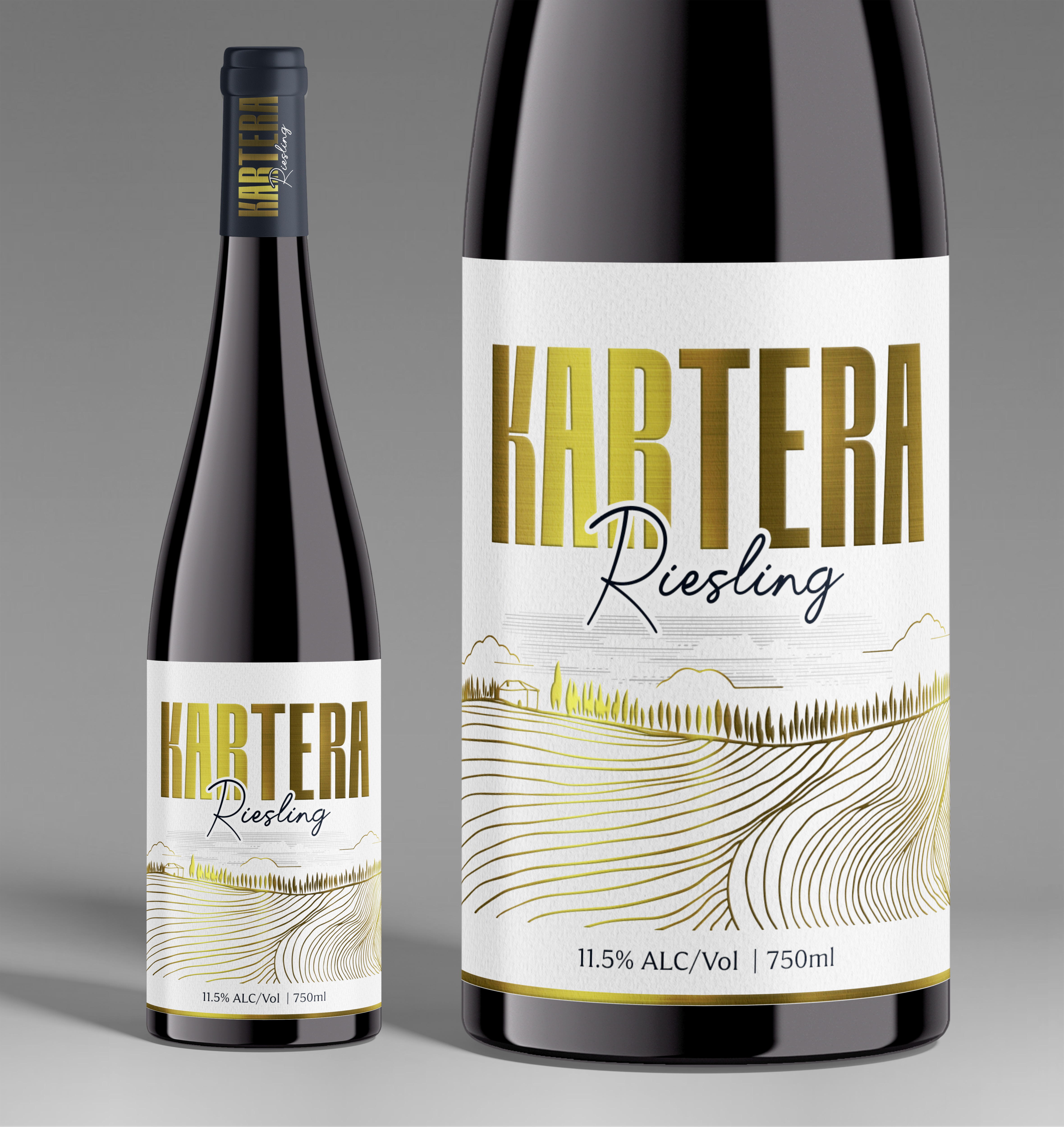 Graphic Design by SAI DESIGNS for this project | Design #37084509