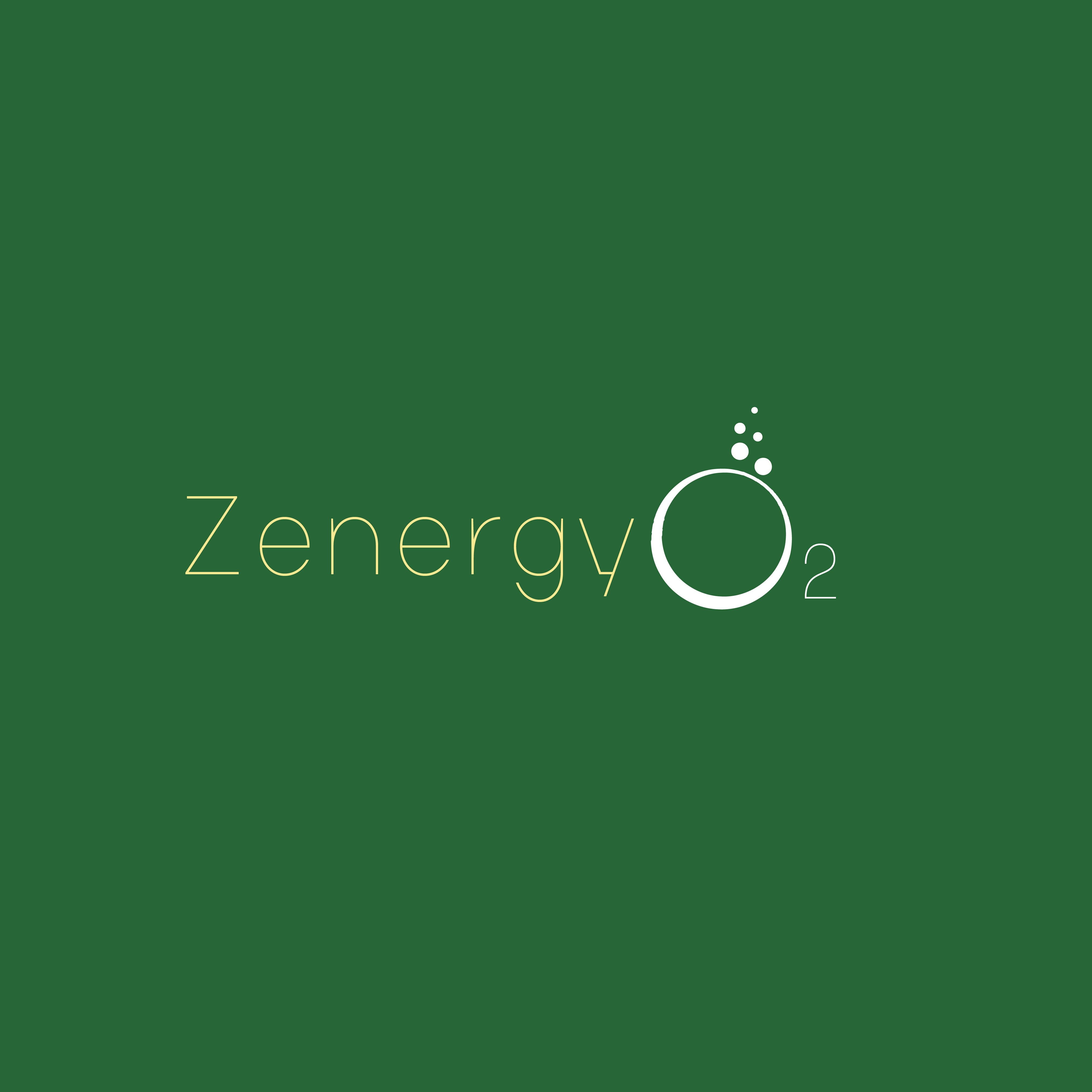 Logo Design by MukendrArt for Quick Silver Systems Inc | Design #37063652