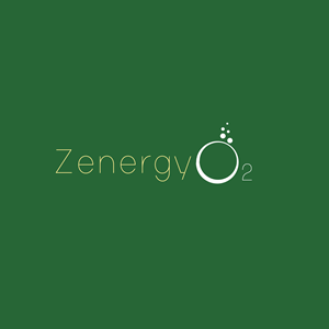 Logo Design by MukendrArt for Quick Silver Systems Inc | Design: #37063652