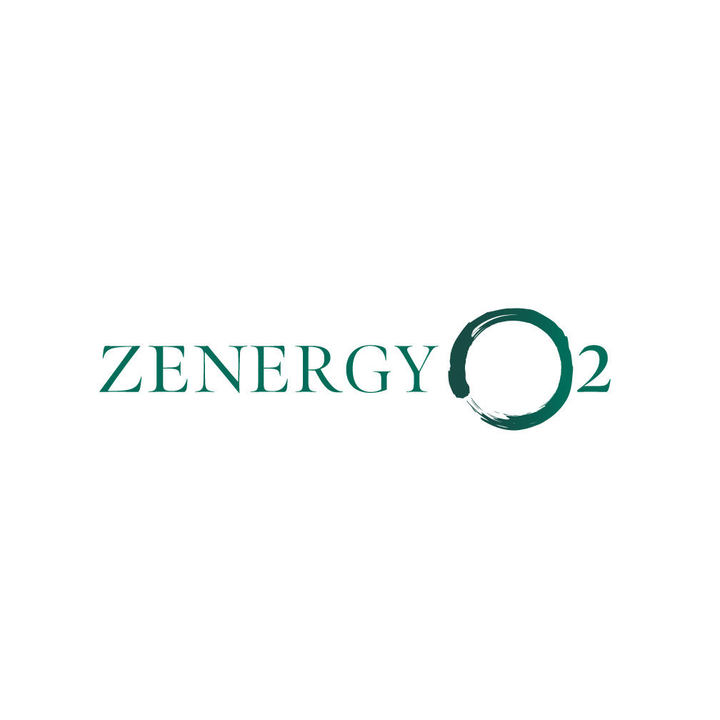 Logo Design by Franabanana for Quick Silver Systems Inc | Design #37061727