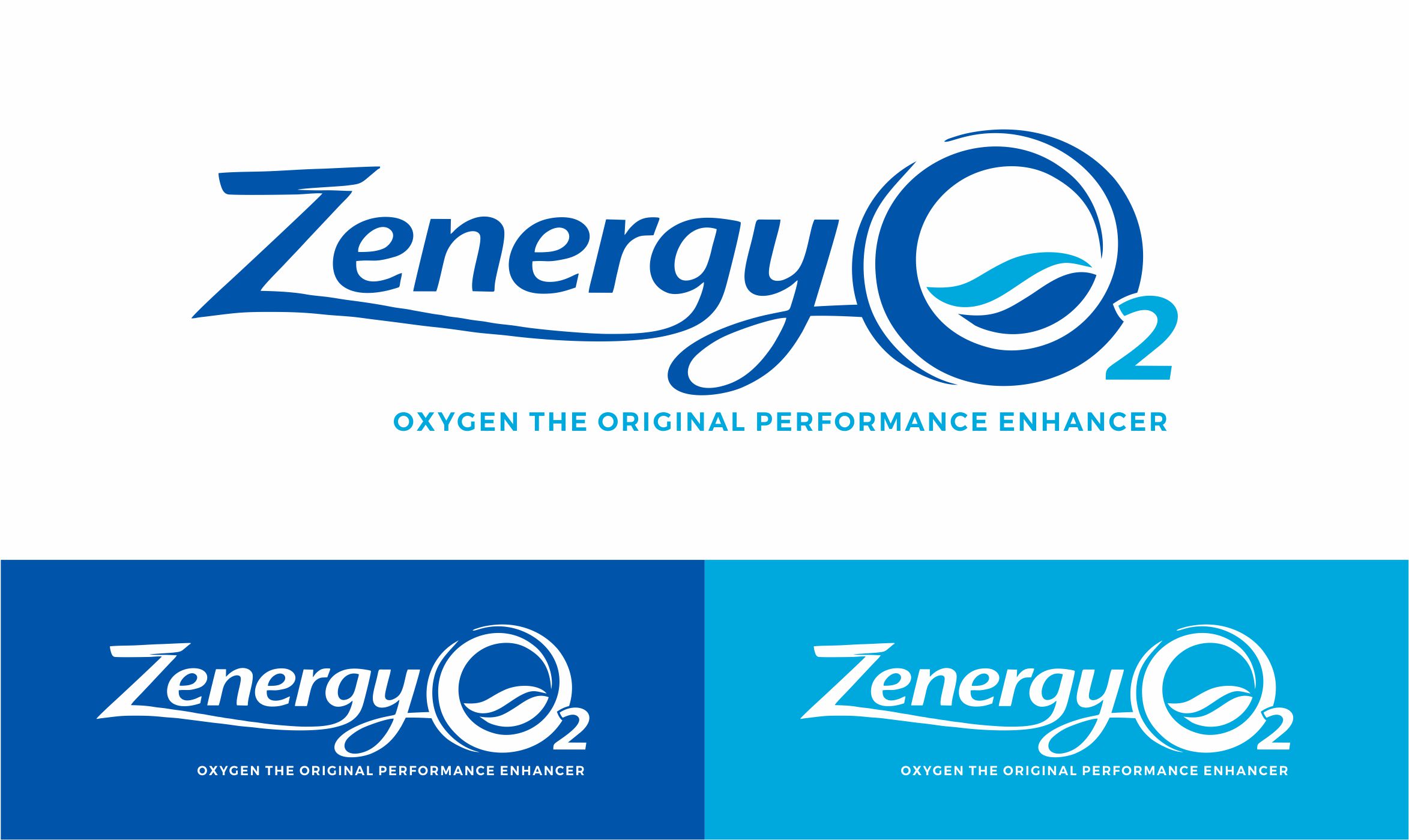 Logo Design by Borago for Quick Silver Systems Inc | Design #37061923