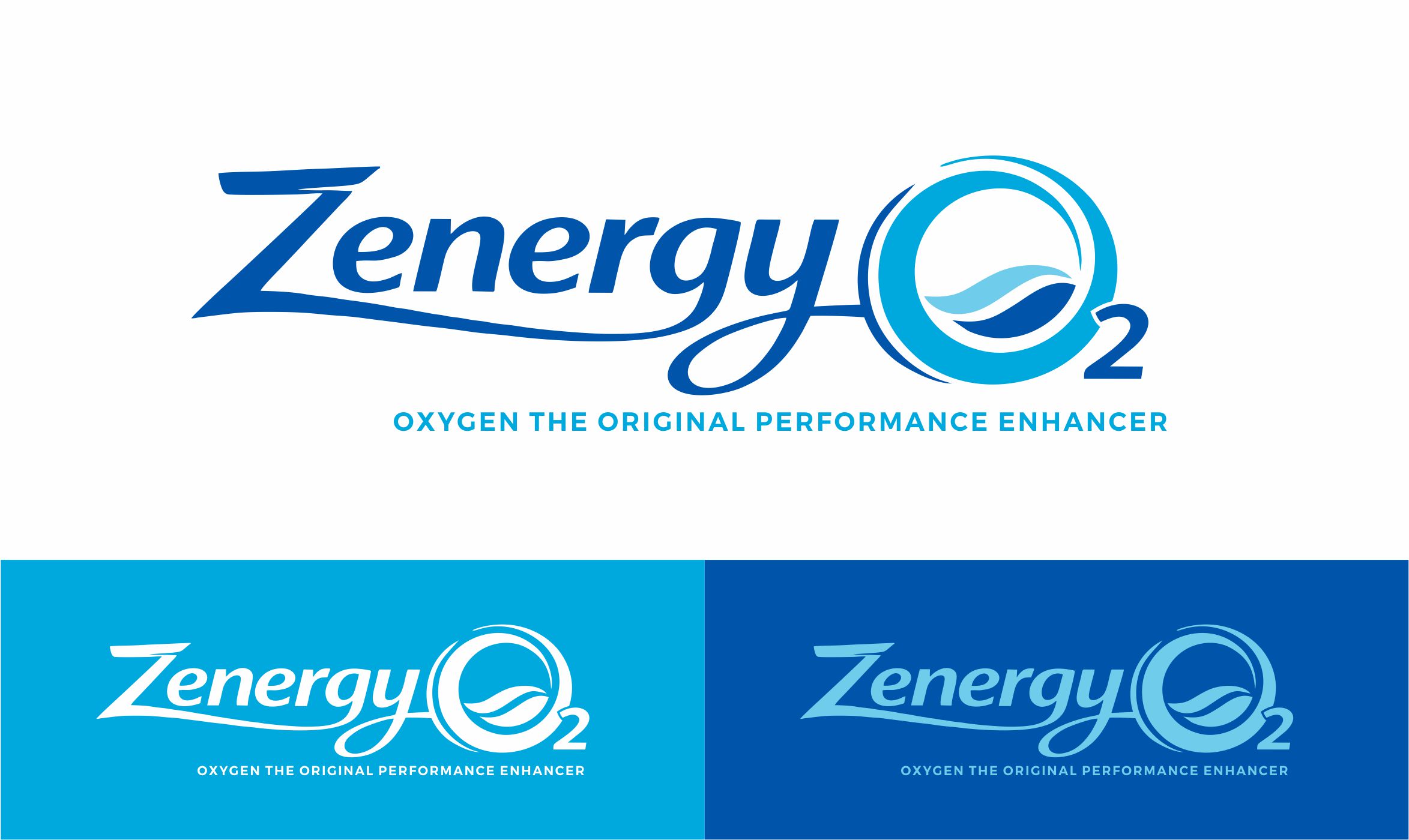 Logo Design by Borago for Quick Silver Systems Inc | Design #37061924