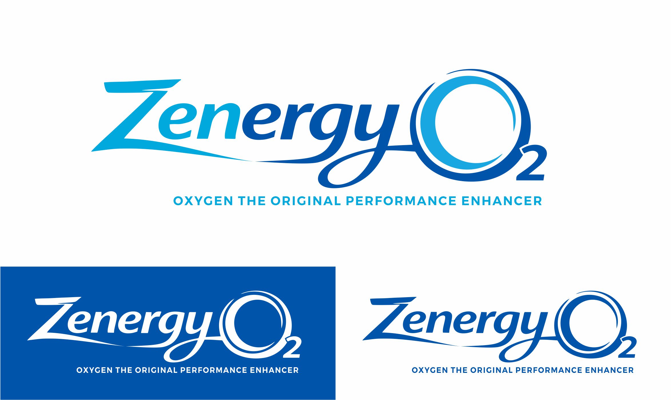 Logo Design by Borago for Quick Silver Systems Inc | Design #37061996