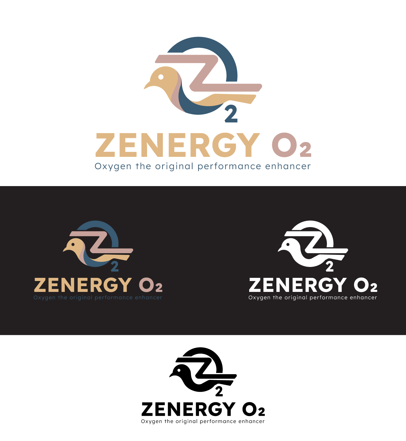 Logo Design by Aboshahen for Quick Silver Systems Inc | Design #37066618