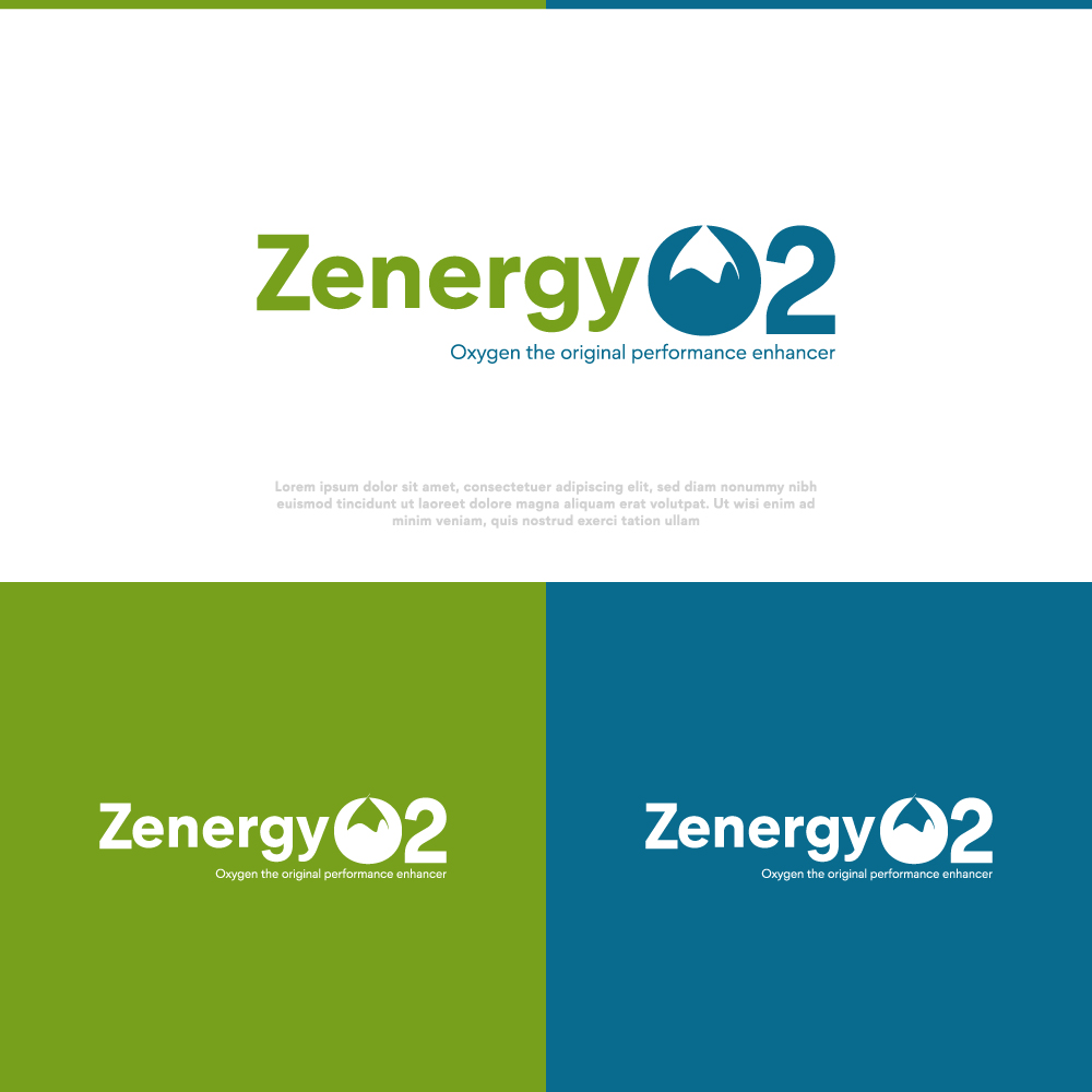 Logo Design by Huzaifa Designer for Quick Silver Systems Inc | Design #37063031