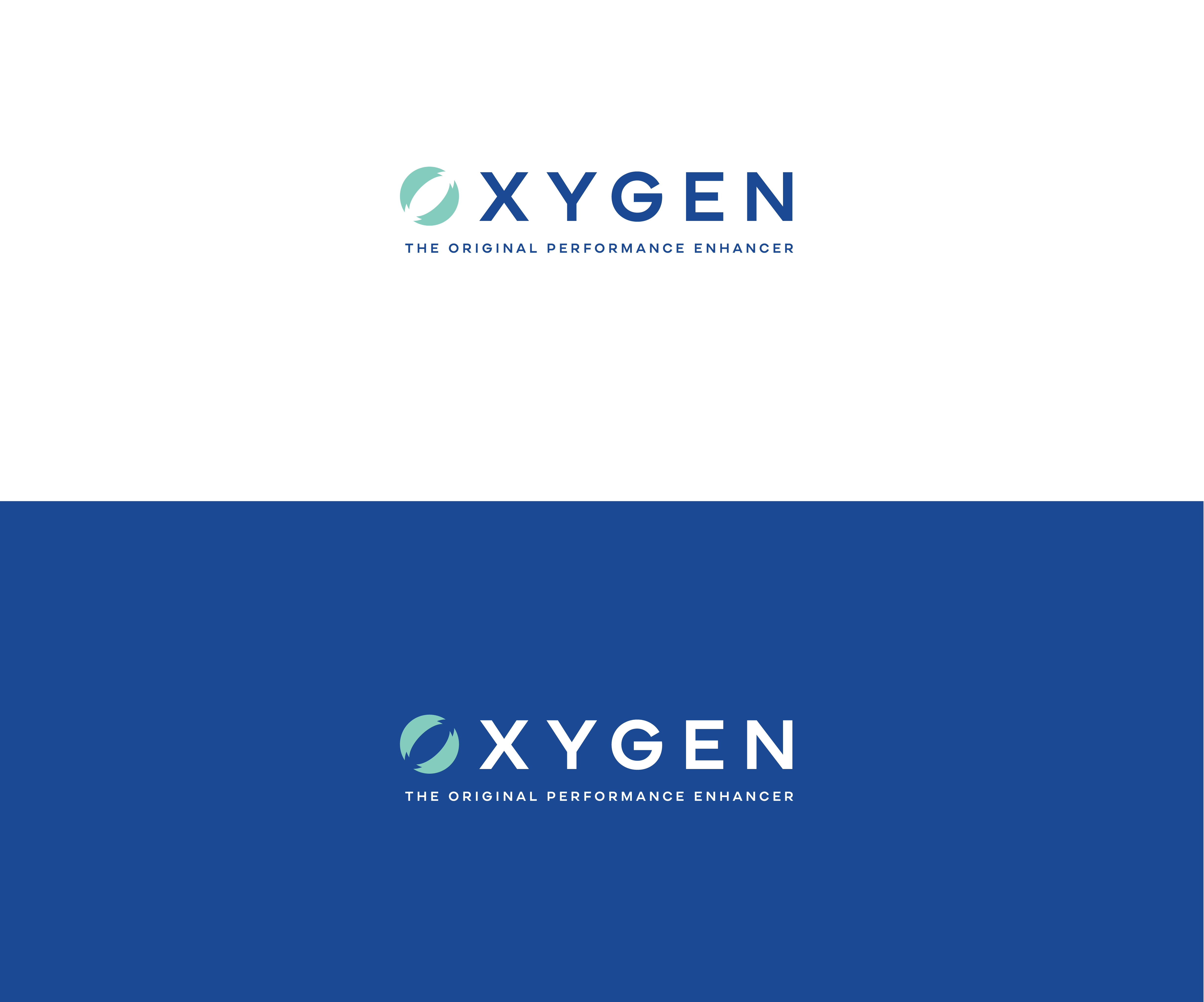 Logo Design by Drawing Room for Quick Silver Systems Inc | Design #37054204