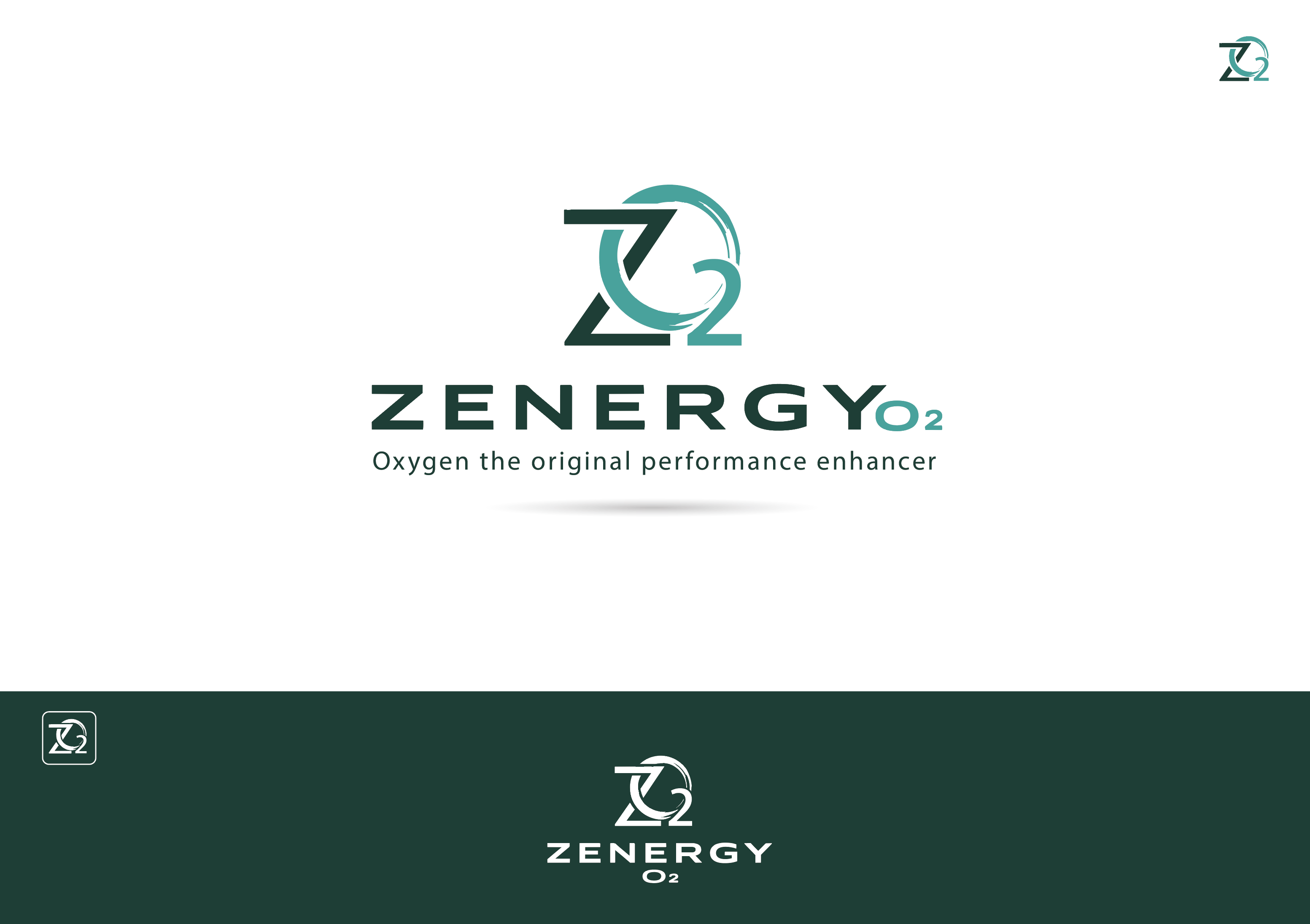 Logo Design by rana.mak for Quick Silver Systems Inc | Design #37081014