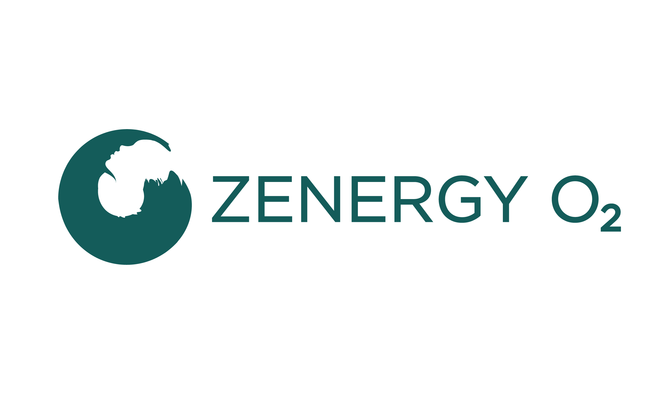 Logo Design by Grafactory for Quick Silver Systems Inc | Design #37062712