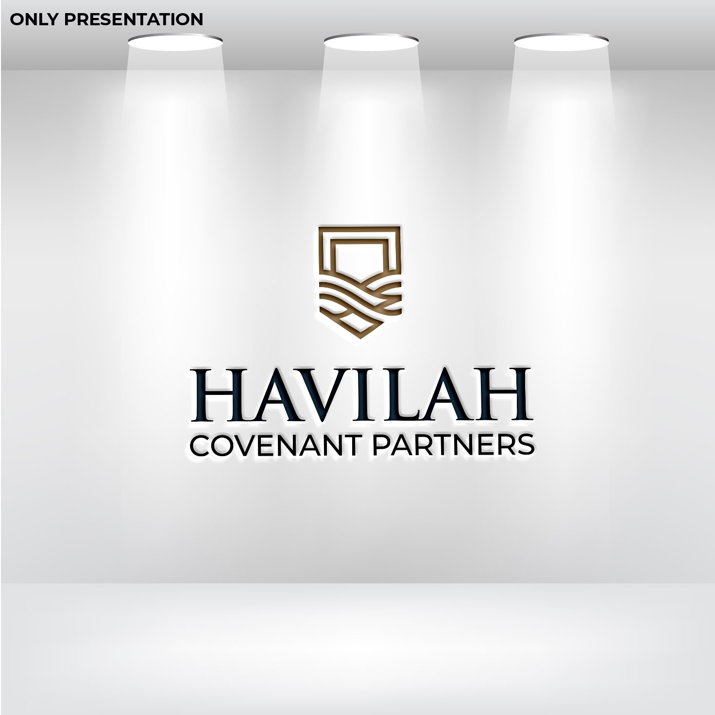 Diseño de Logo por KING JM para este proyecto | Diseño #37063968