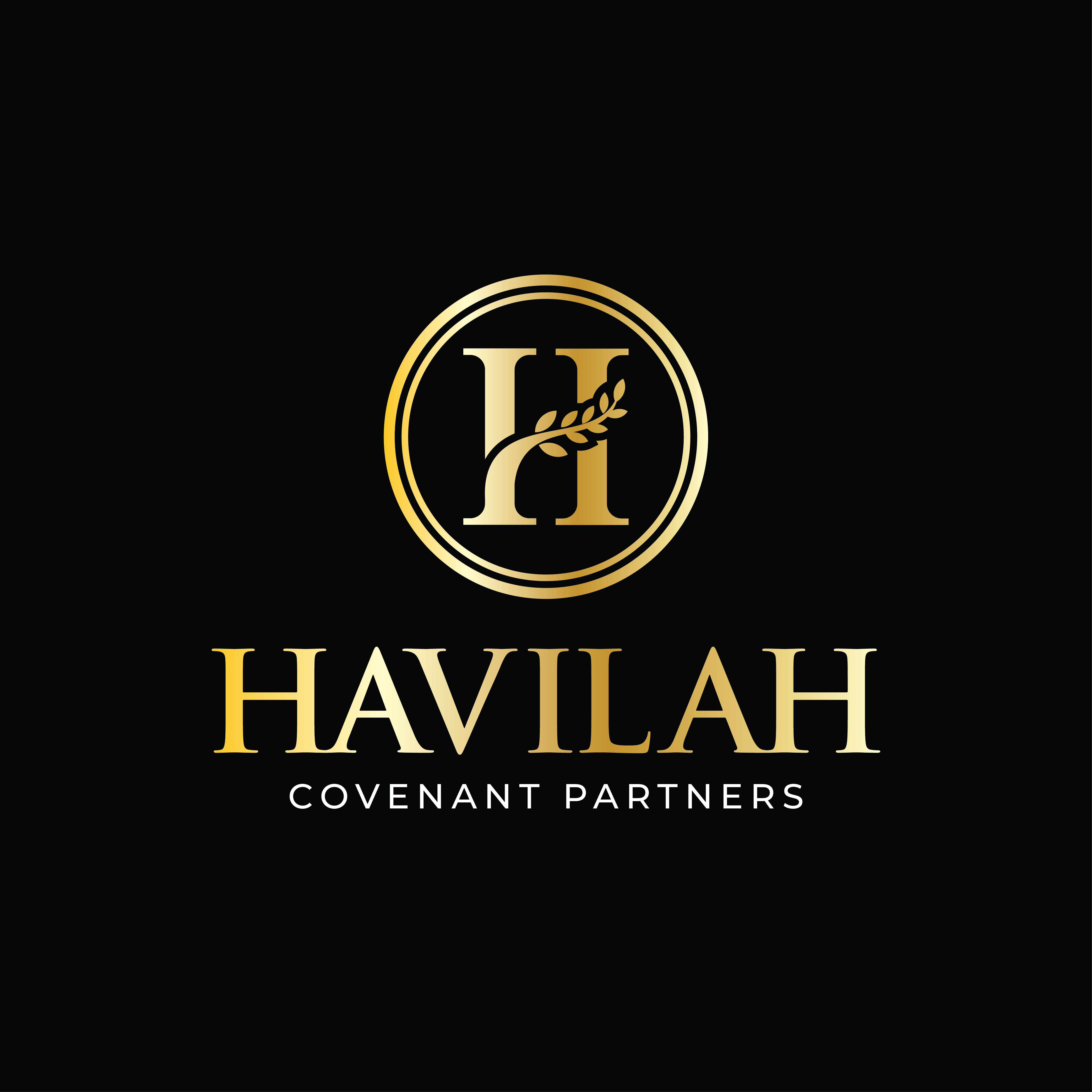 Diseño de Logo por StdLand para este proyecto | Diseño #37085814