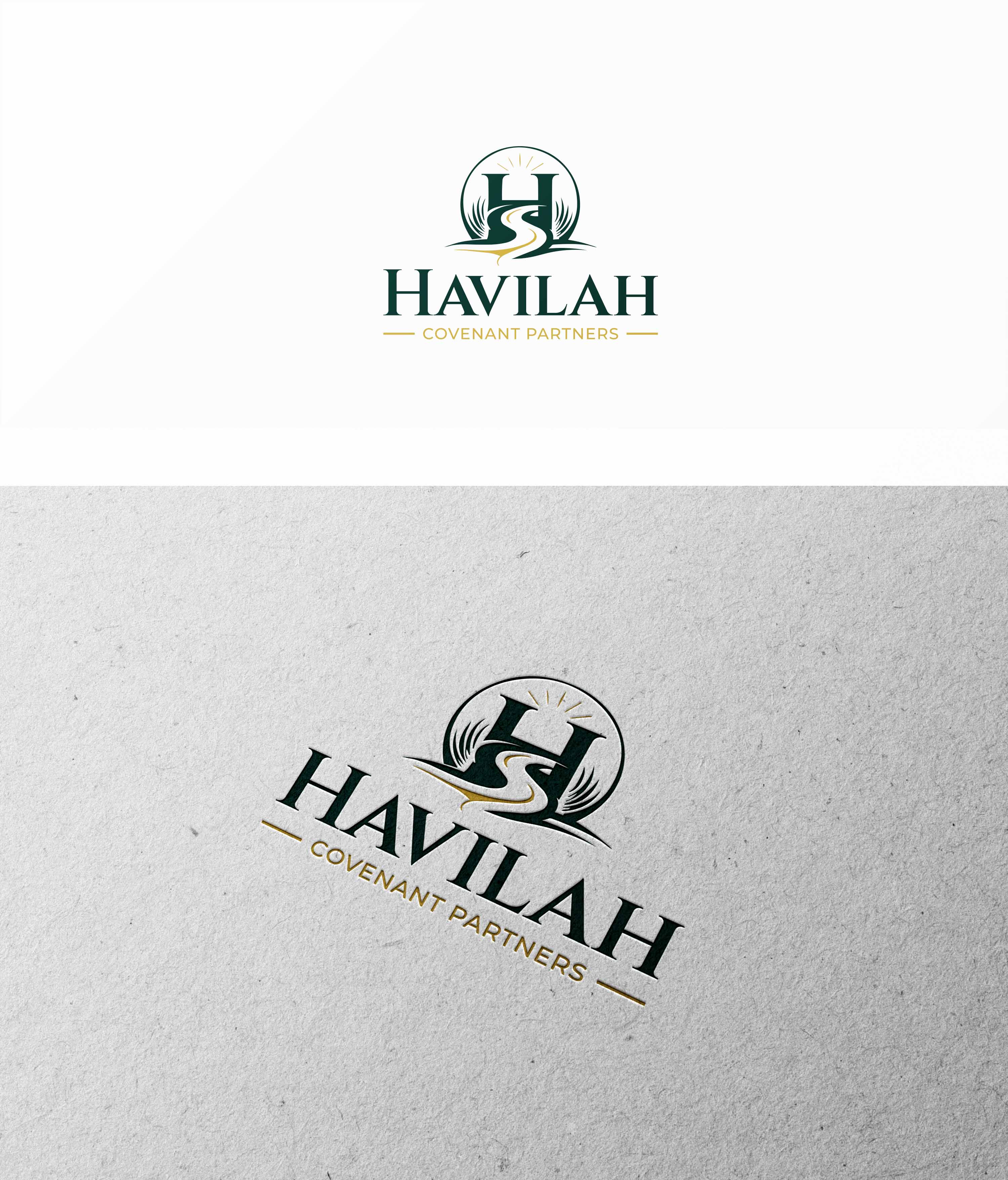 Logo Design by BANI GD for this project | Design #37056199