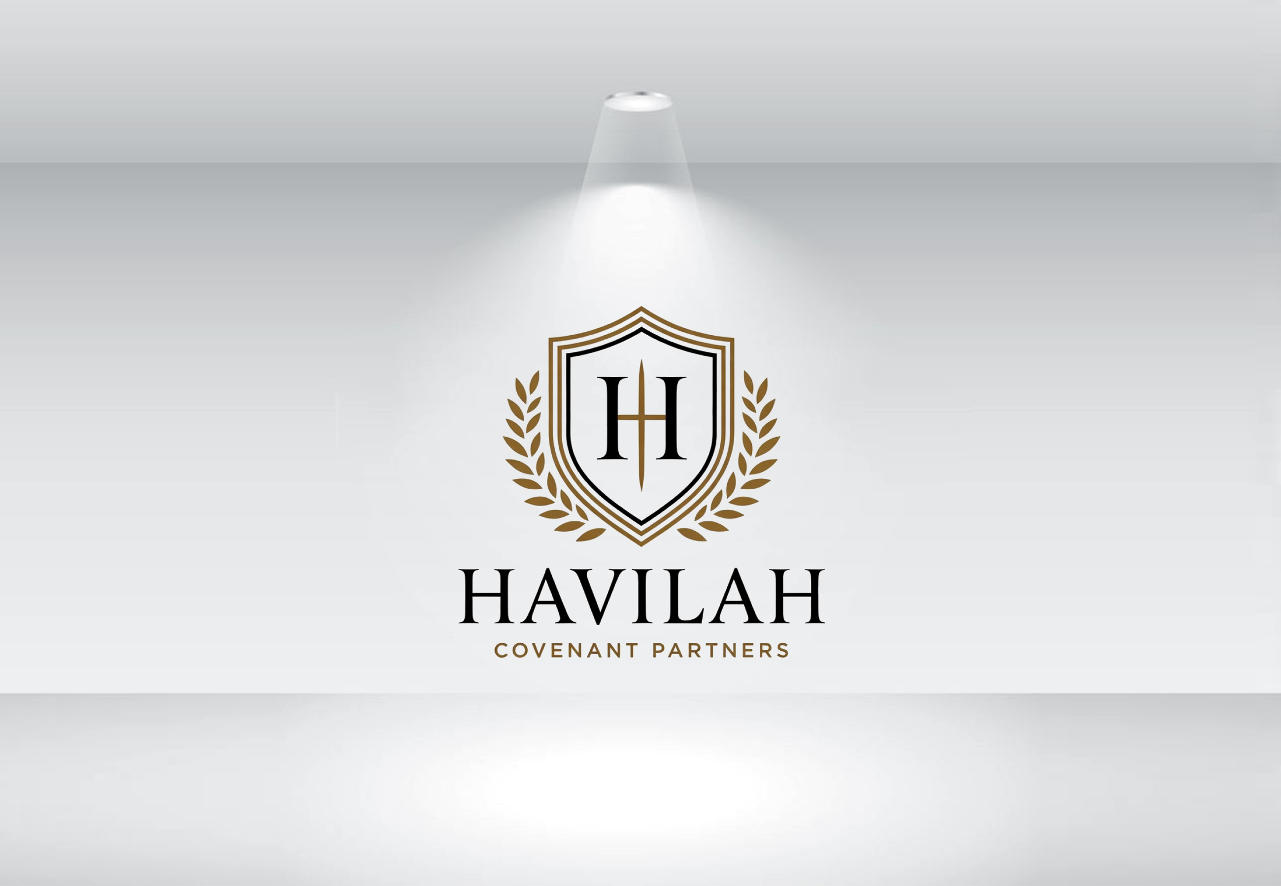 Logo Design by GraphiqueLab for this project | Design #37059505