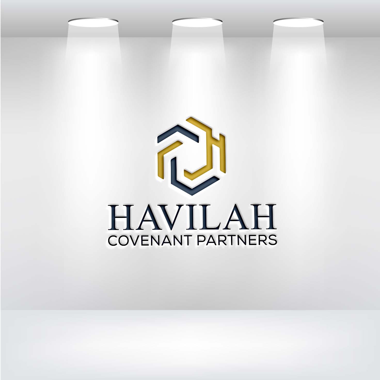 Logo Design by RobloxPro for this project | Design #37066674