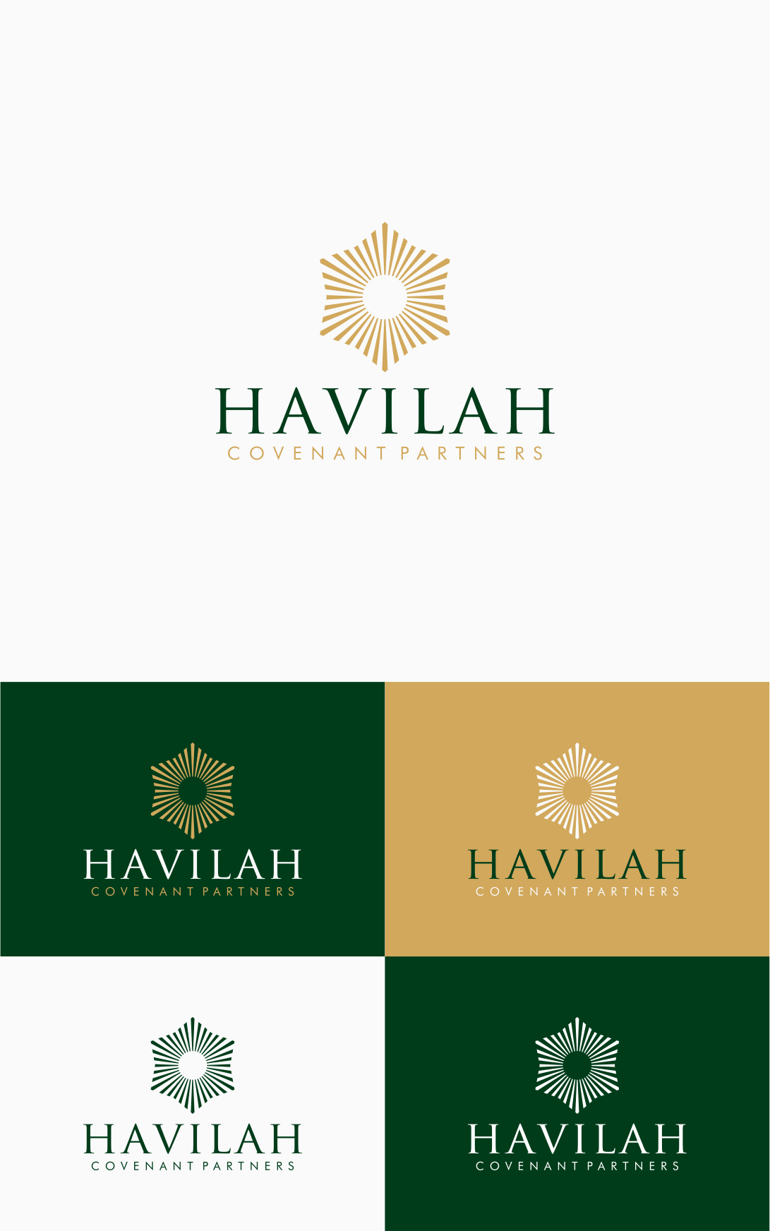 Diseño de Logo por artes aquino para este proyecto | Diseño #37064687