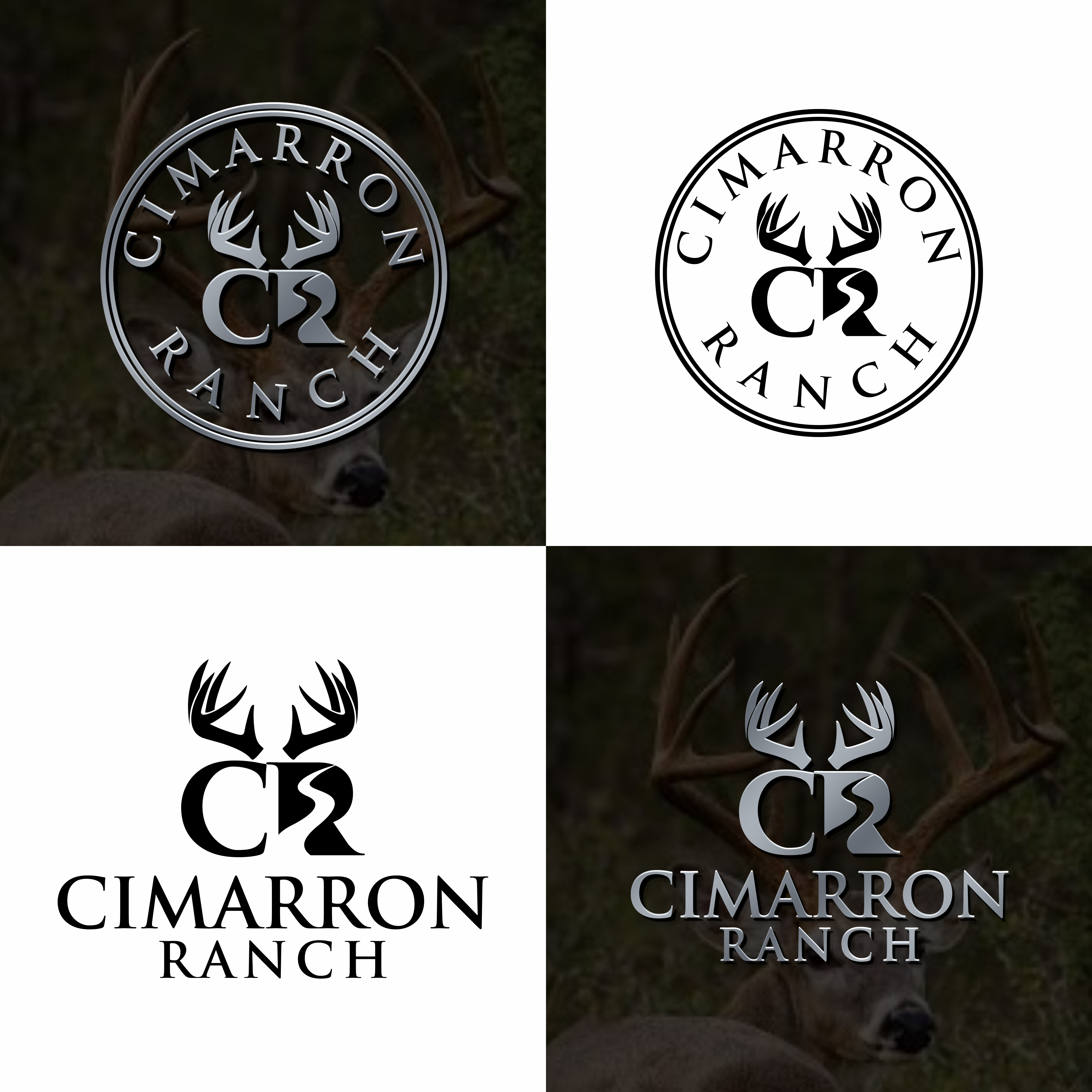 Diseño de Logo por Astro D para este proyecto | Diseño #37113089