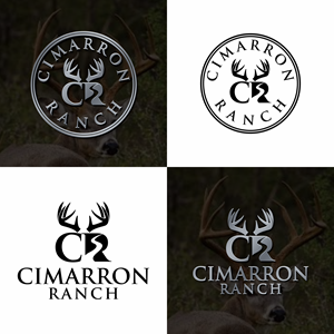 Logo Design by Astro D for this project | Design: #37113089