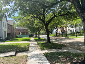 Graphic Design by Joy Dutta for this project | Design: #37071857