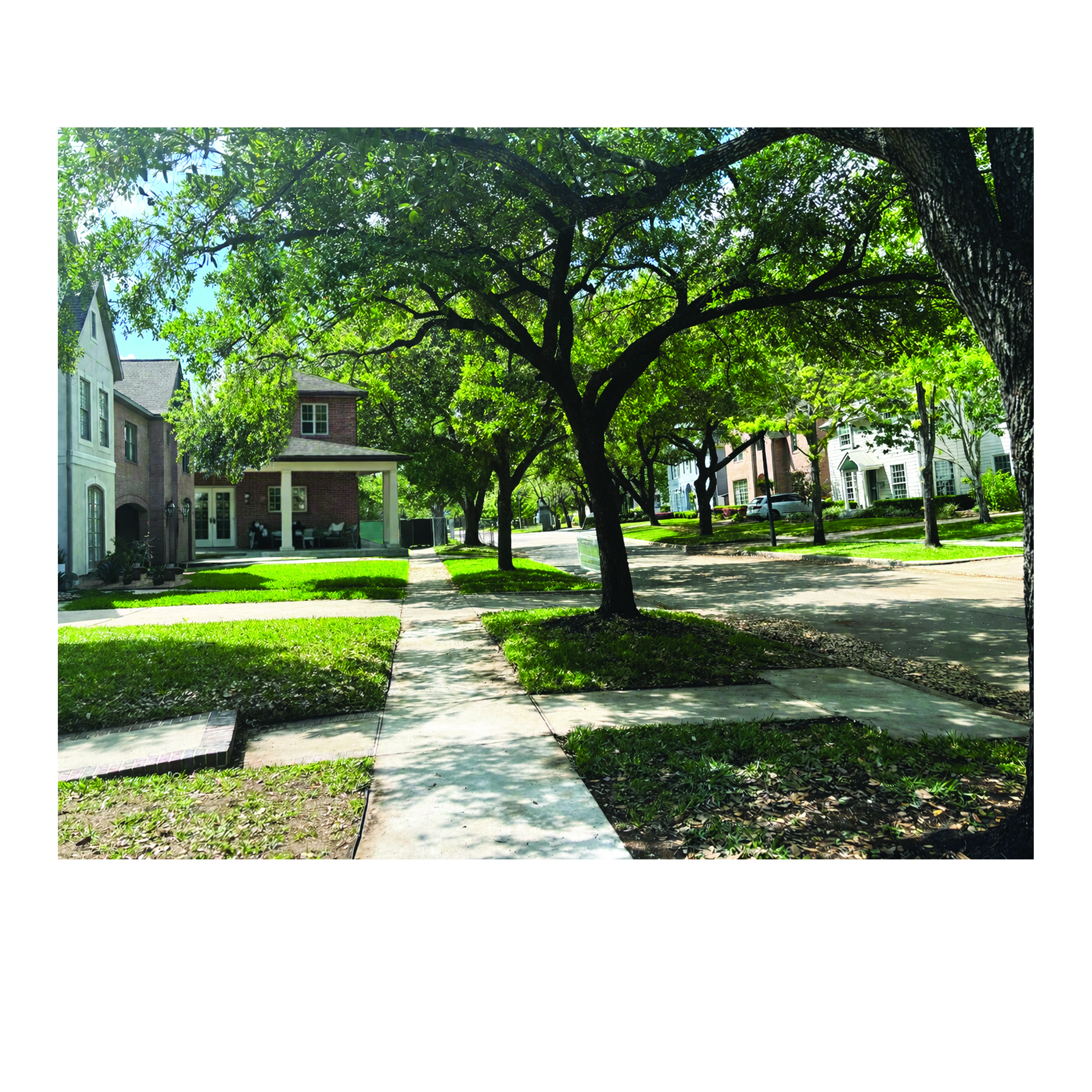 Grafik-Design von bethmage janaka für dieses Projekt | Design #37066405