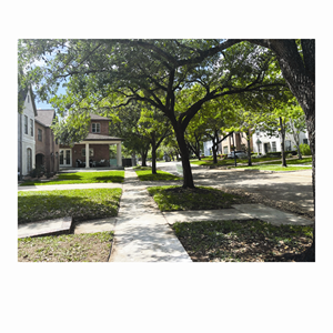 Graphic Design by bethmage janaka for this project | Design: #37066405