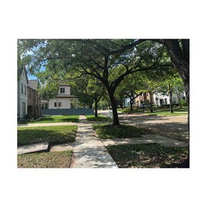 Graphic Design by bethmage janaka for this project | Design: #37069982