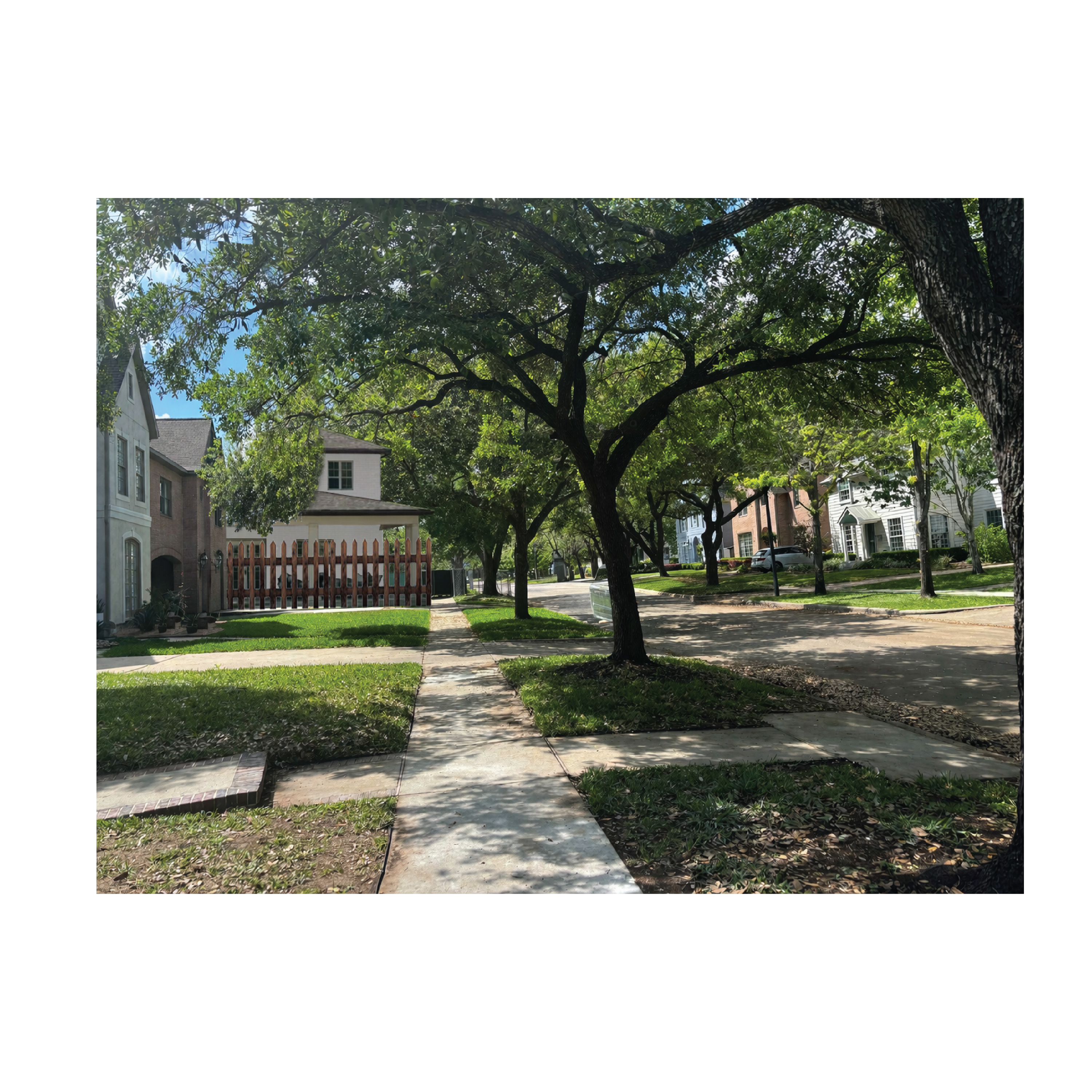 Graphic Design by bethmage janaka for this project | Design #37070143