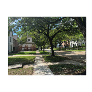 Graphic Design by bethmage janaka for this project | Design: #37070143