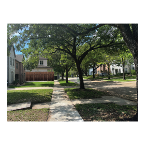 Graphic Design by bethmage janaka for this project | Design: #37070216