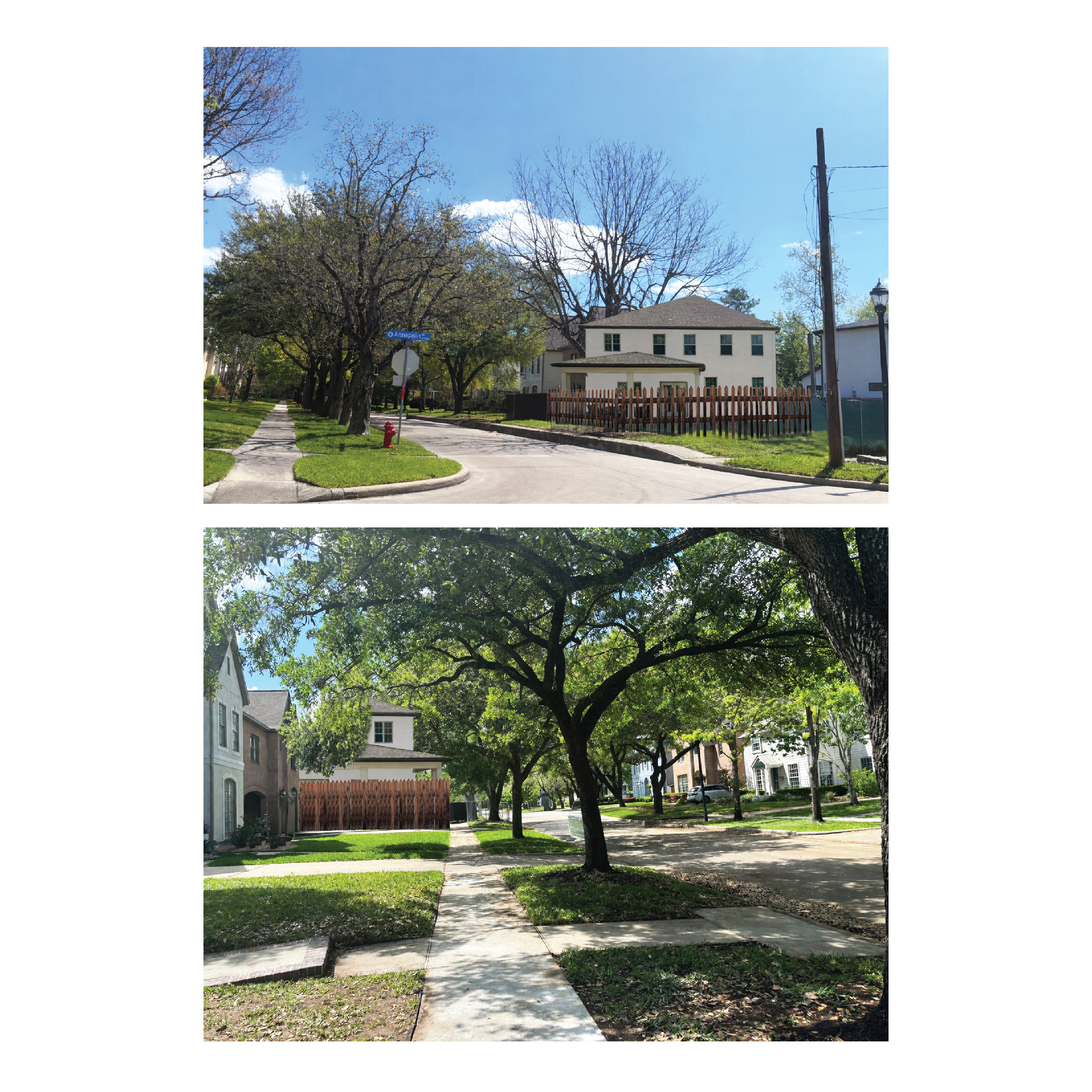 Graphic Design by bethmage janaka for this project | Design #37070797